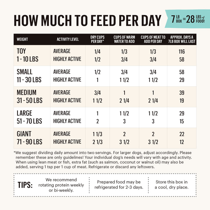 The Honest Kitchen Grain Free Veggie, Nut & Seed Base Mix Dehydrated Dog Food