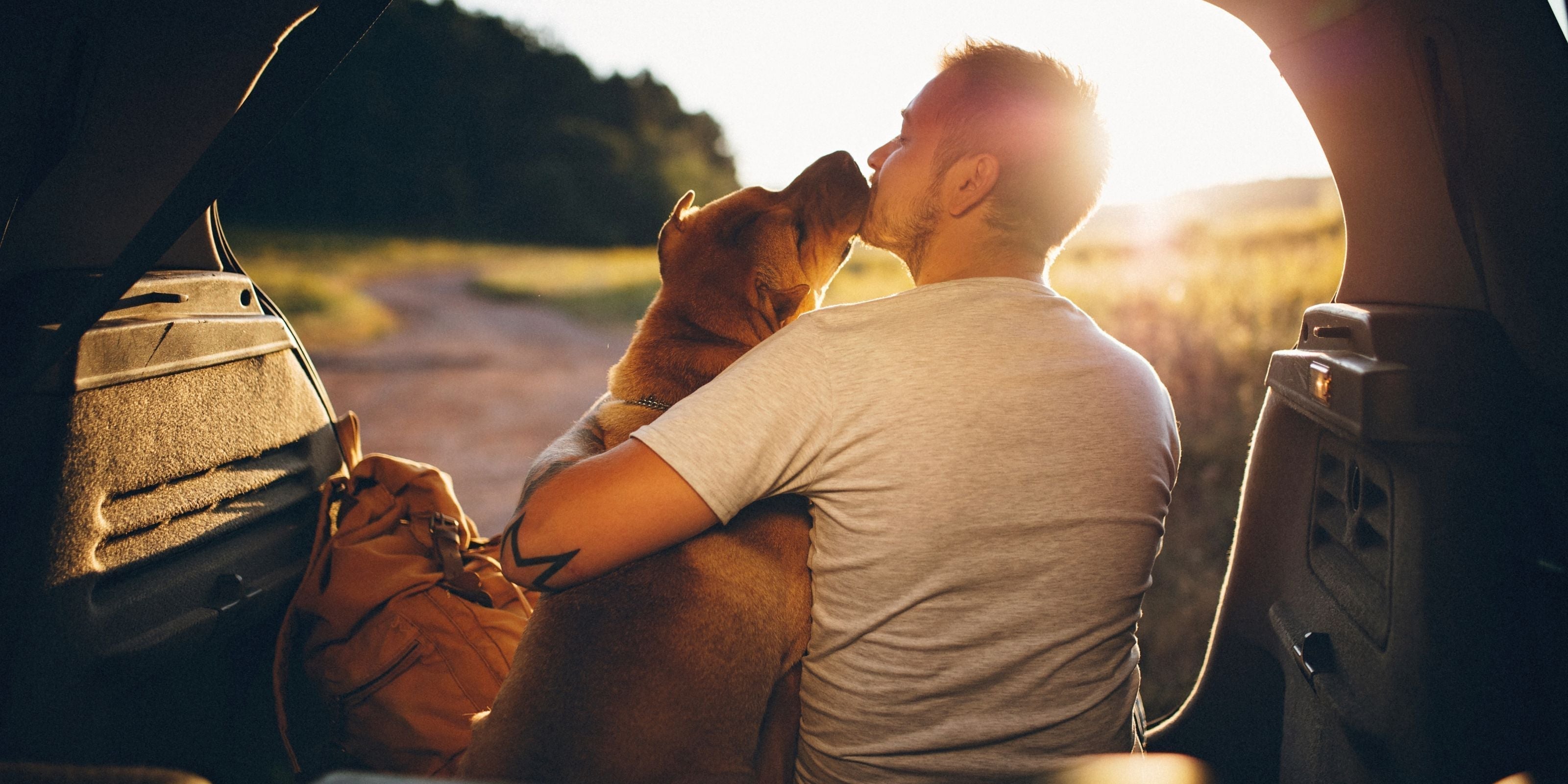 Hitting the Road with Your Pet: Prepare for Summer Travel