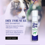 Chris Christensen Dry For Sure Dry Mousse For Dogs, 10oz