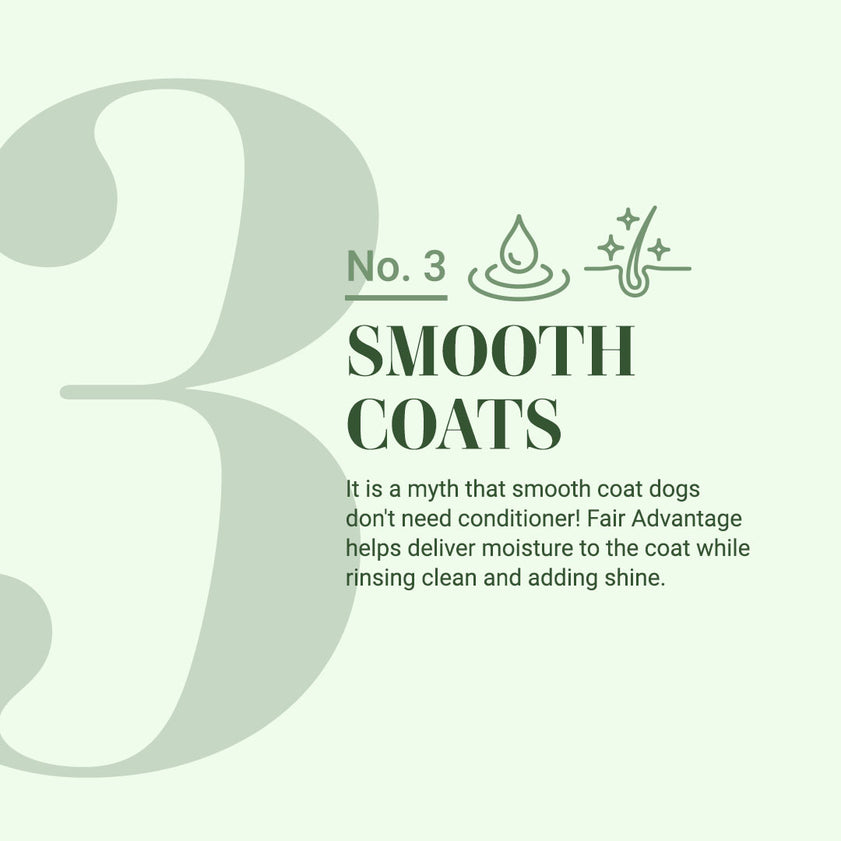 Chris Christensen Pro-Line Fair Advantage Shampoo For Dogs