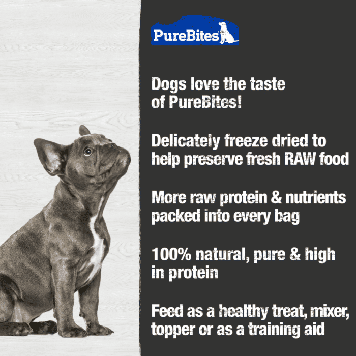PureBites Freeze Dried Cheddar Cheeze Dog Treats