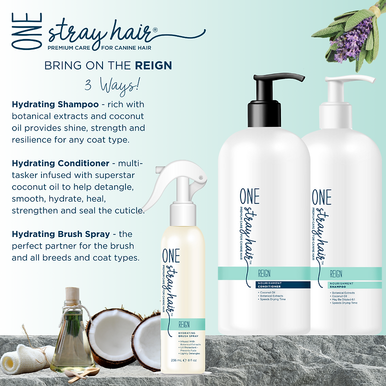 One Stray Hair Reign Hydrating Shampoo For Dogs