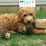 ZippyPaws Zippy Burrow™ Plush Dog Toy, Hedgehog Den