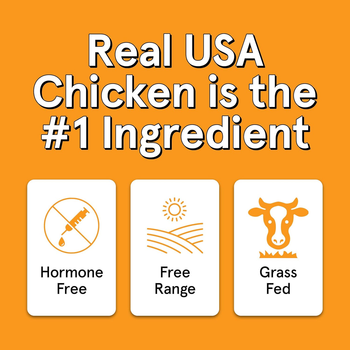 The Real Meat Company Air Dried Chicken Jerky Tiny Trainers Dog Treats, 5oz