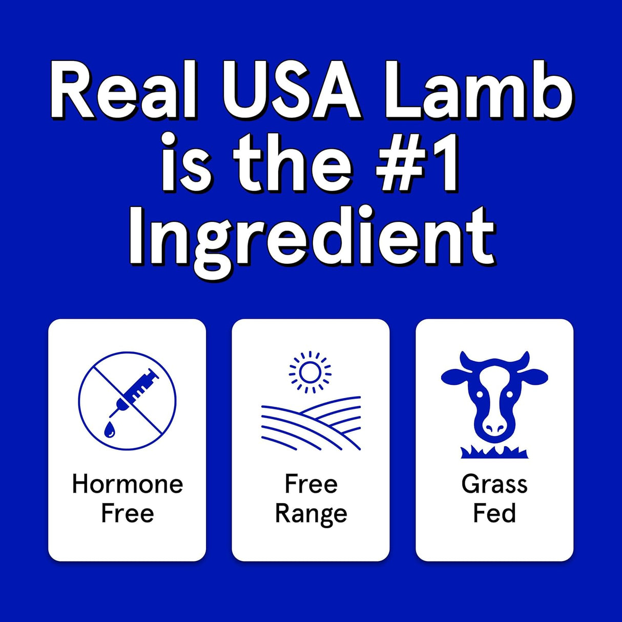 The Real Meat Company Air Dried Lamb Jerky Tiny Trainers Dog Treats, 5oz