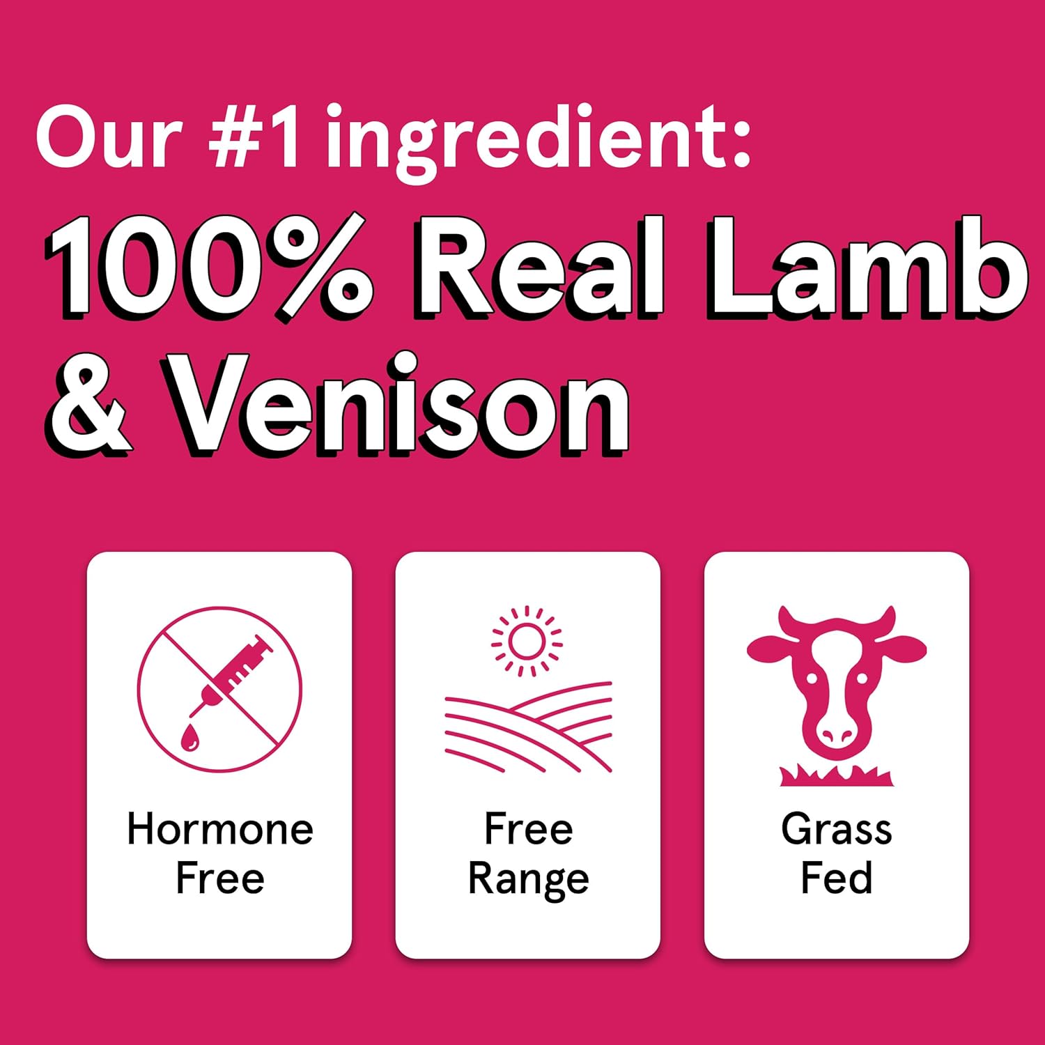 The Real Meat Company Lamb & Venison Jerky Dog Treats