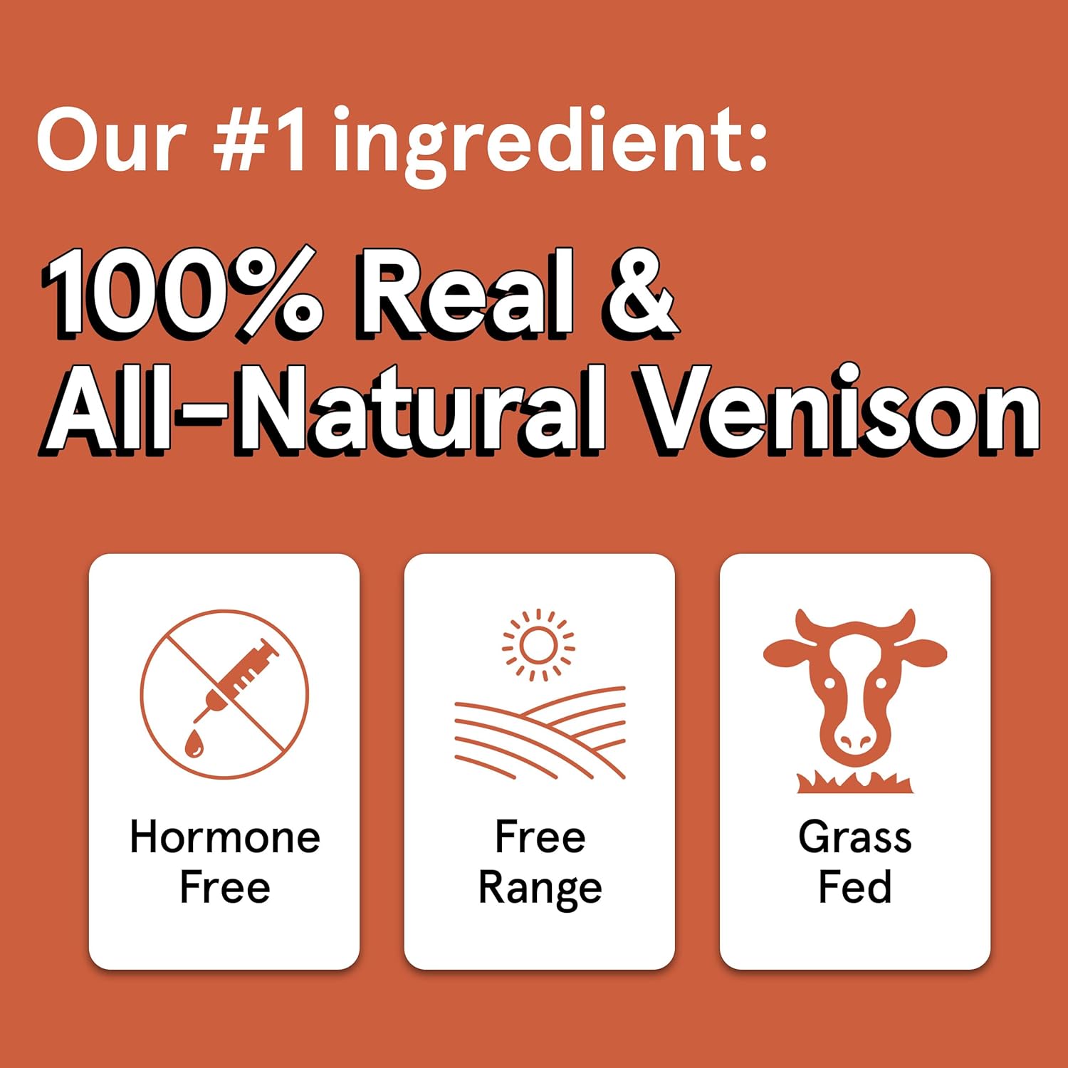 The Real Meat Company Venison Jerky Dog Treats