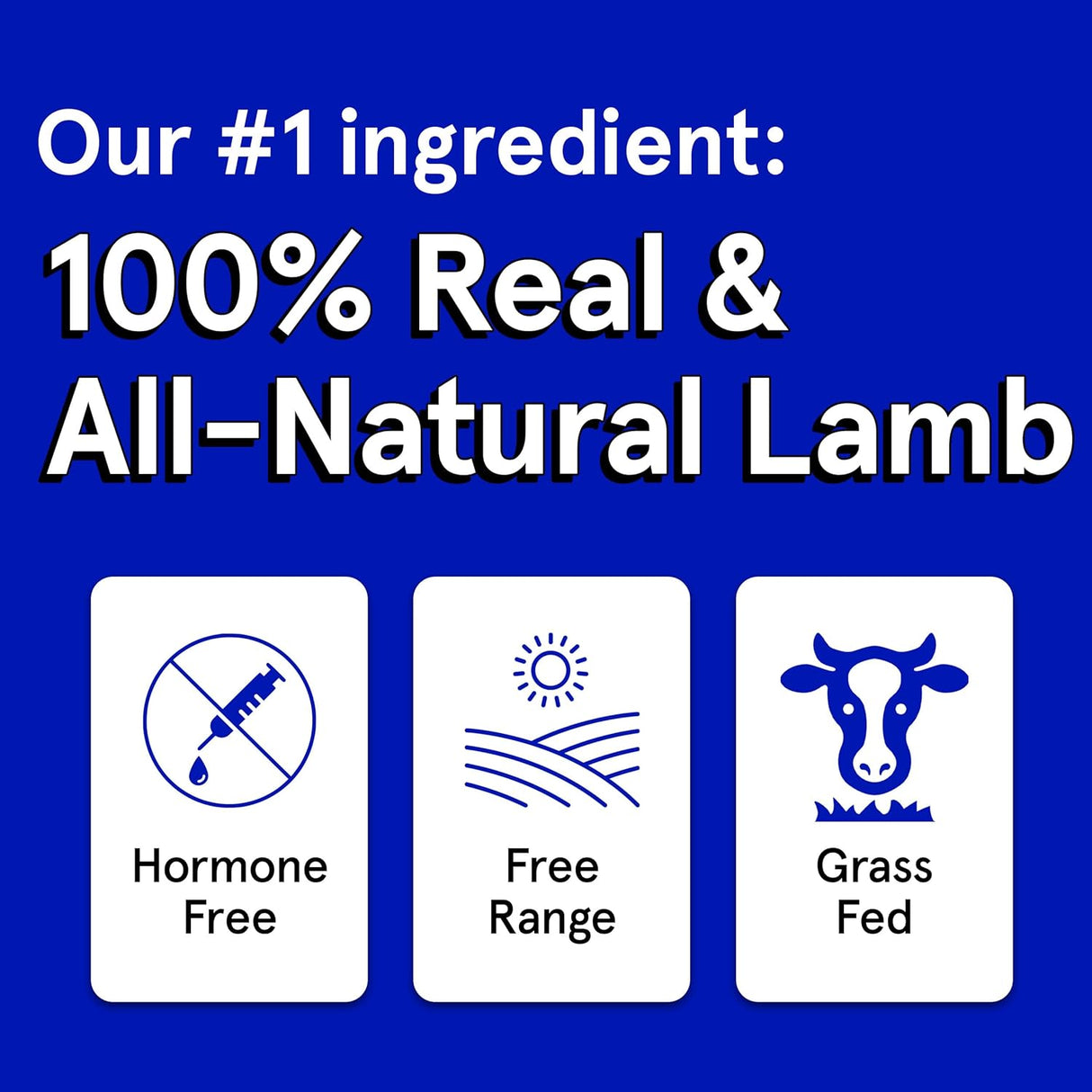 The Real Meat Company Lamb Jerky Dog Treats