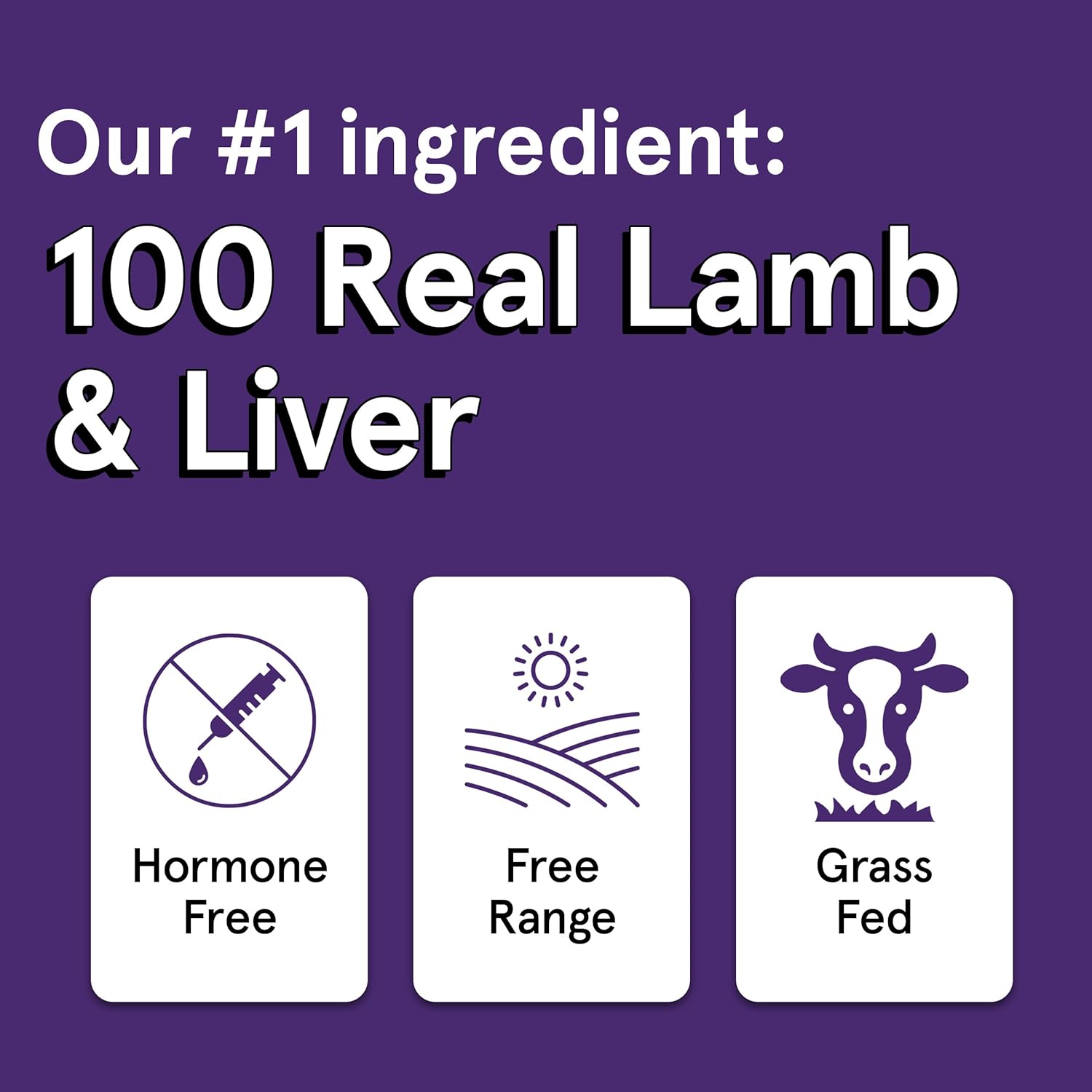 The Real Meat Company Lamb & Liver Jerky Dog Treats