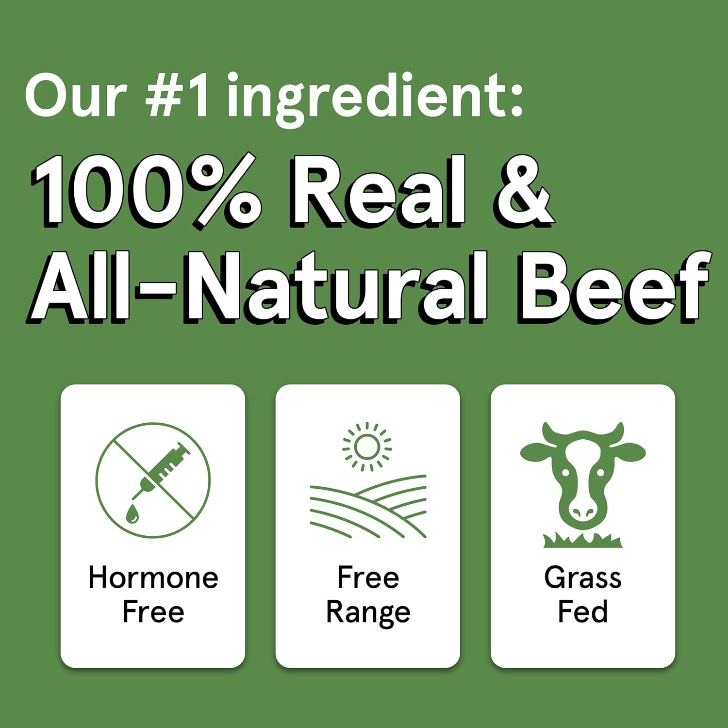 The Real Meat Company Beef Jerky Dog Treats