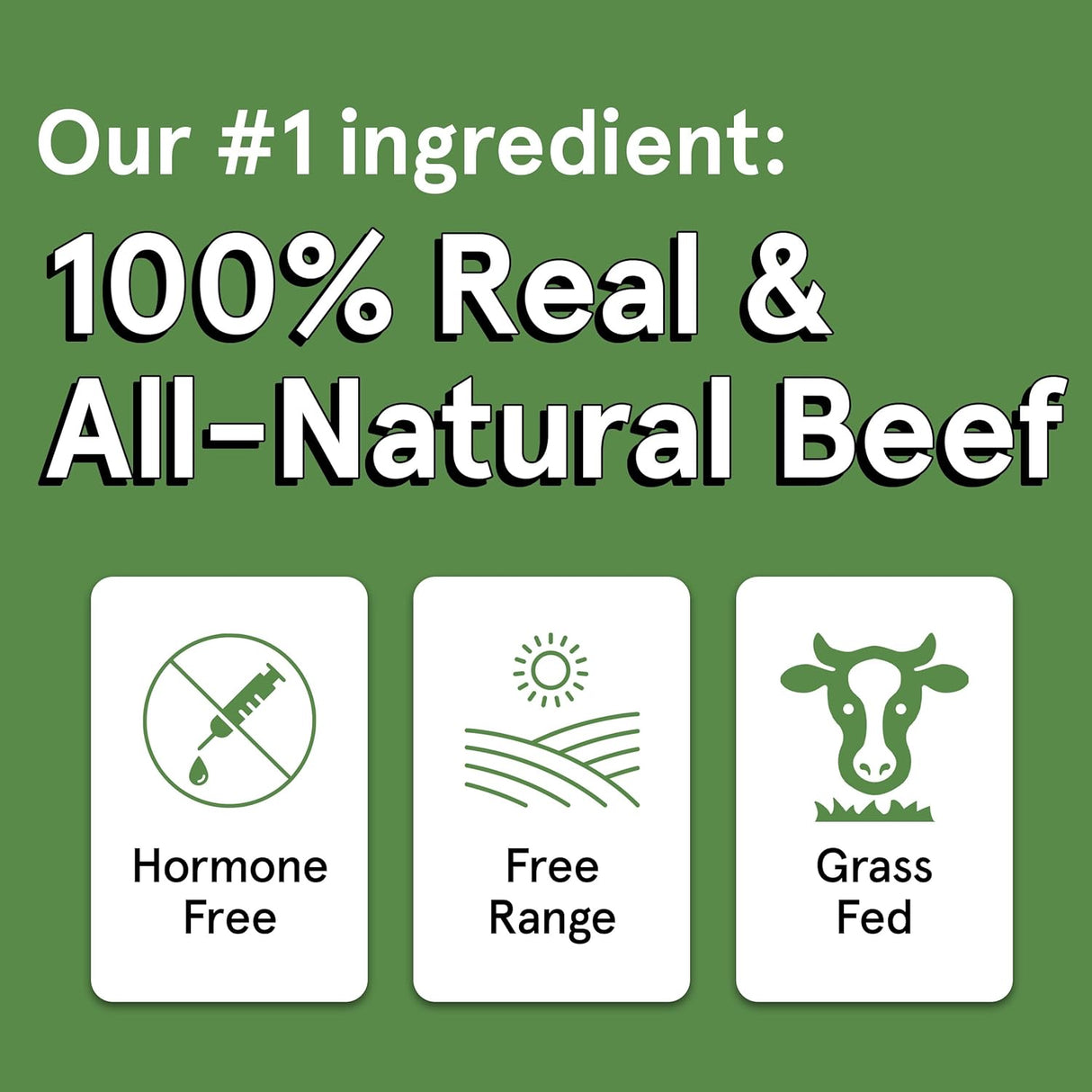 The Real Meat Company Beef Jerky Dog Treats