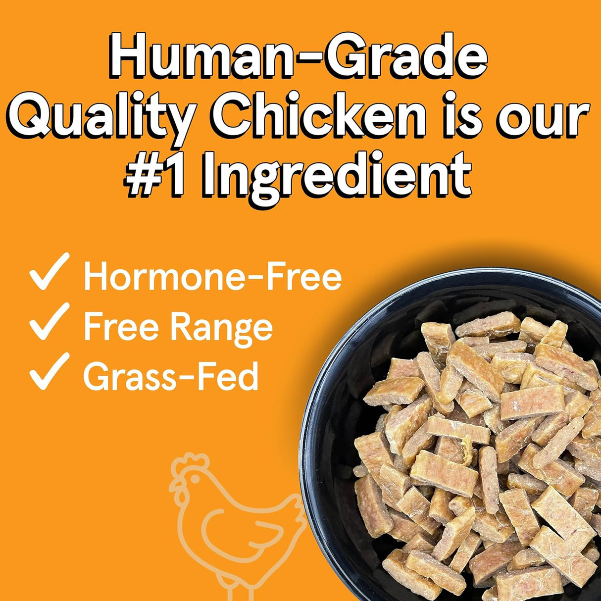 The Real Meat Company Air-Dried Dog Food, Chicken