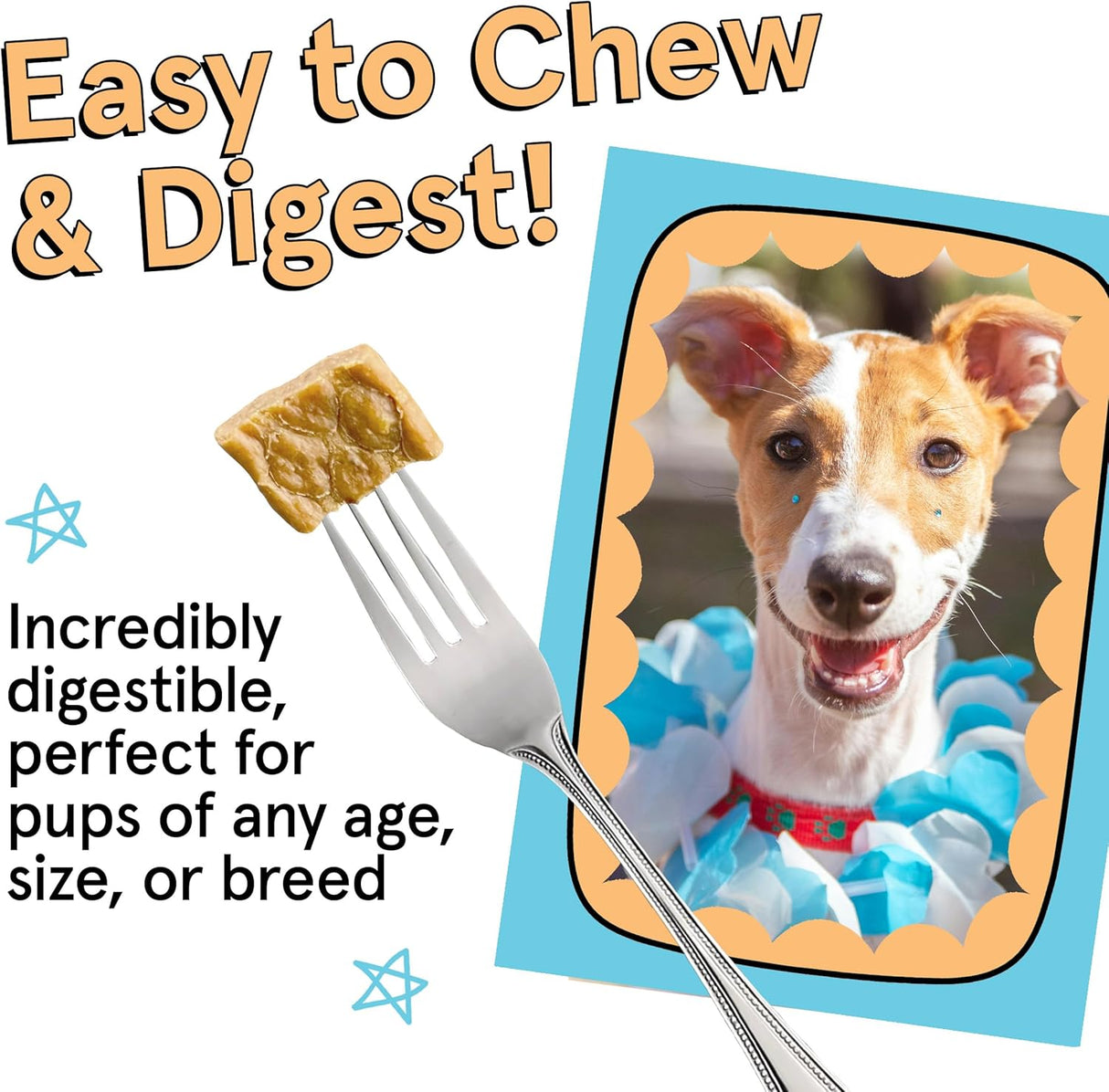 The Real Meat Company Chicken with Mussels Dehydrated Dog Food, 2lb