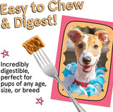 The Real Meat Company Chicken with Salmon Dehydrated Dog Food, 2lb
