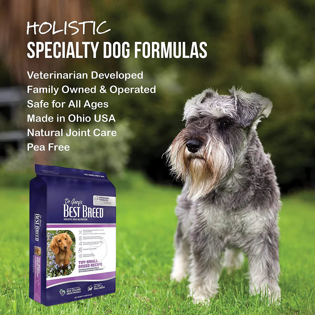 Best food for toy breeds hotsell