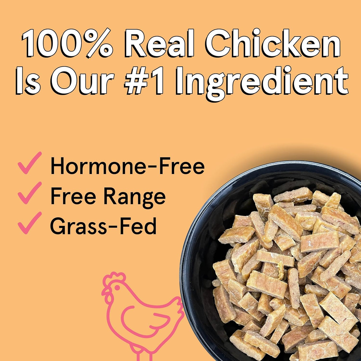 The Real Meat Company Chicken with Salmon Dehydrated Dog Food, 2lb
