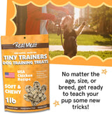 The Real Meat Company Air Dried Chicken Jerky Tiny Trainers Dog Treats, 5oz