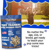 The Real Meat Company Air Dried Lamb Jerky Tiny Trainers Dog Treats, 5oz