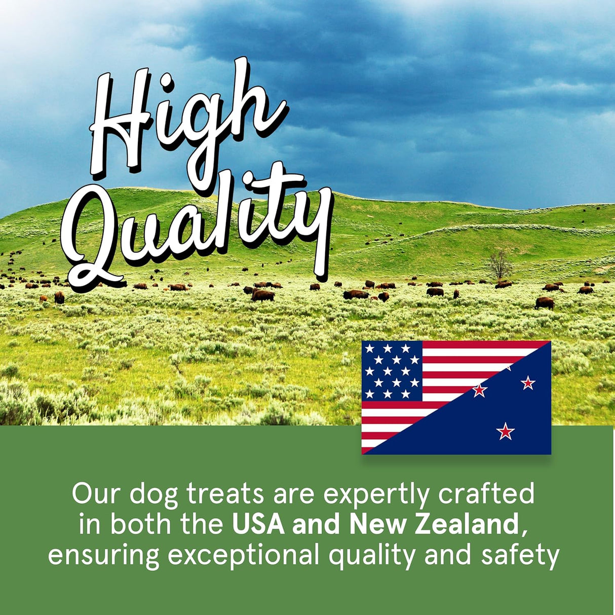 The Real Meat Company Beef Long Jerky Stix Dog Treats, 8oz