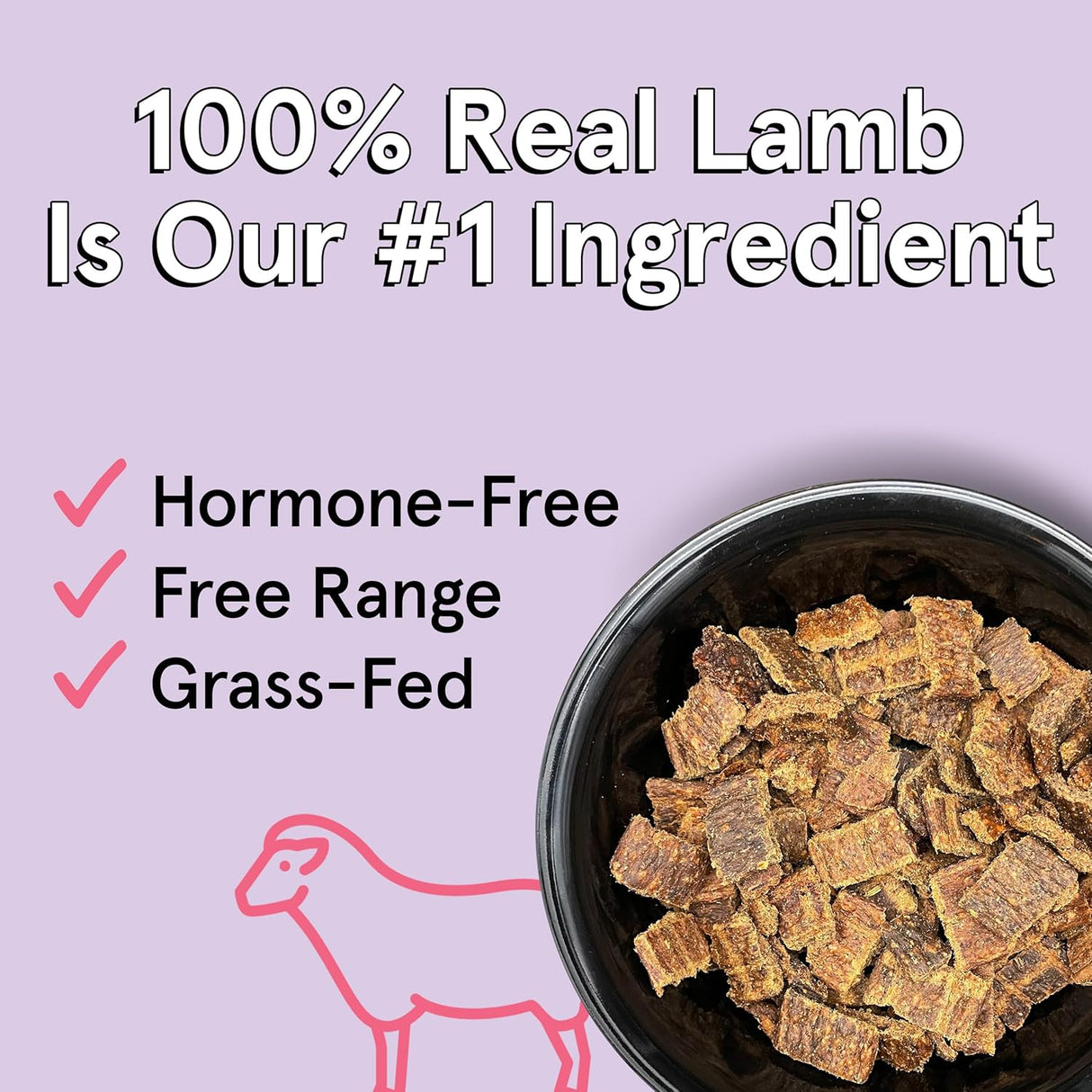 The Real Meat Company Lamb with Salmon Dehydrated Dog Food, 2lb