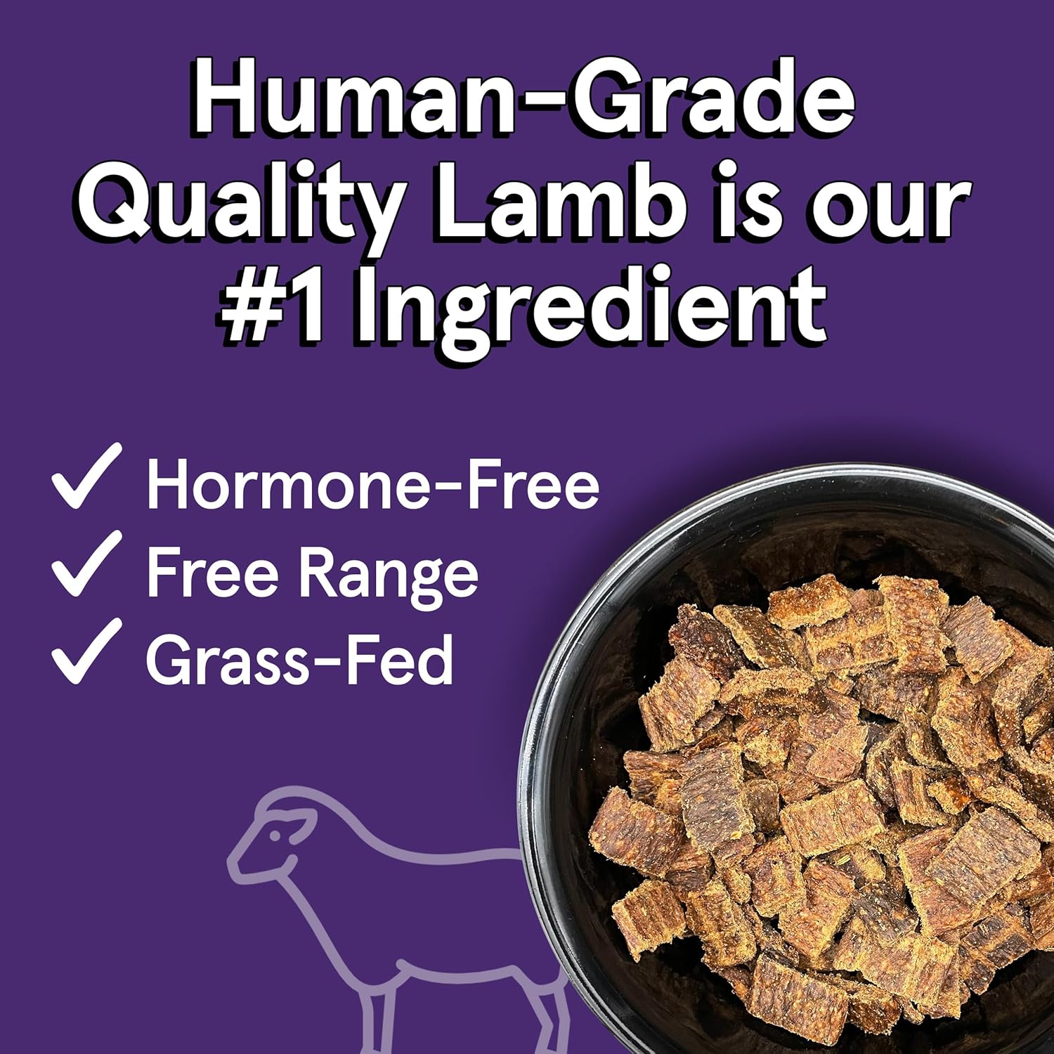 The Real Meat Company Air-Dried Dog Food, Lamb