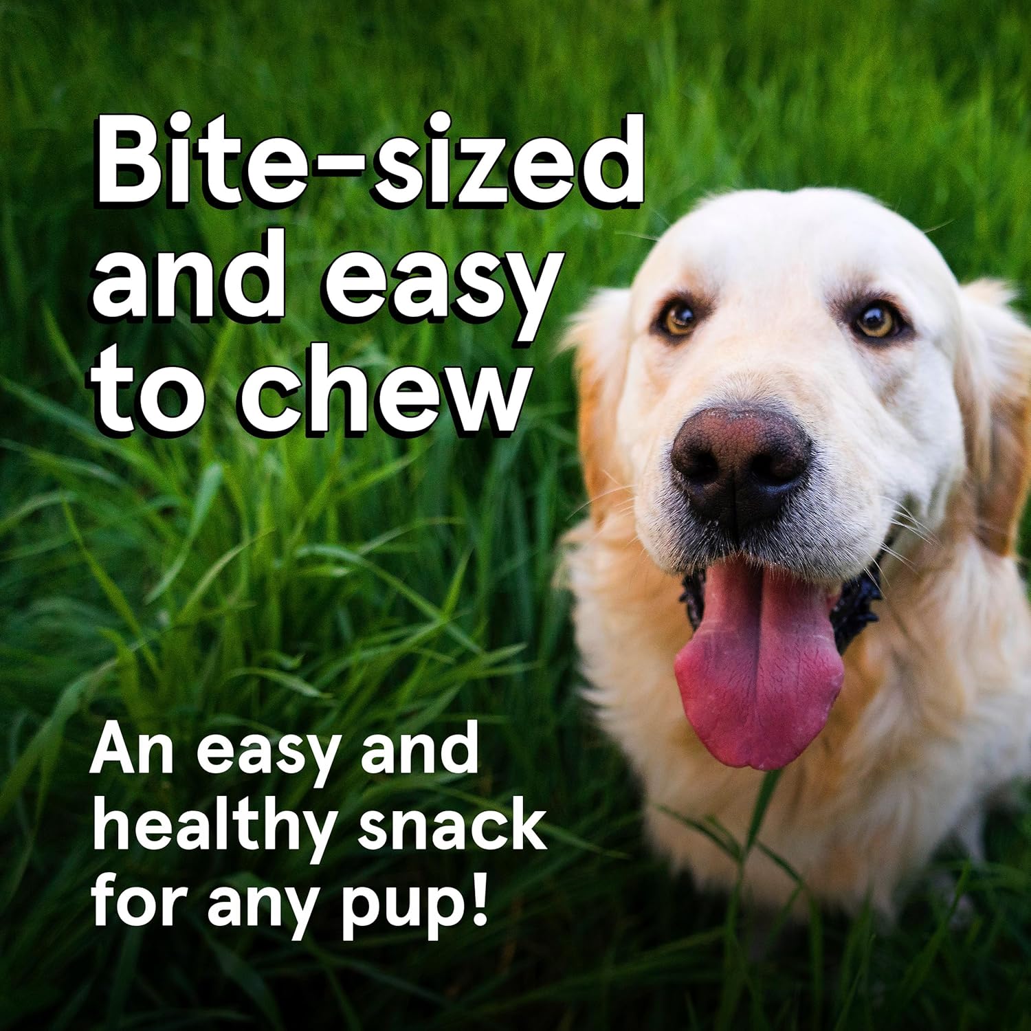 The Real Meat Company Beef Jerky Dog Treats