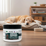 Jar of Dogzymes Adrenal Support for dogs on the floor with a dog resting in the background.