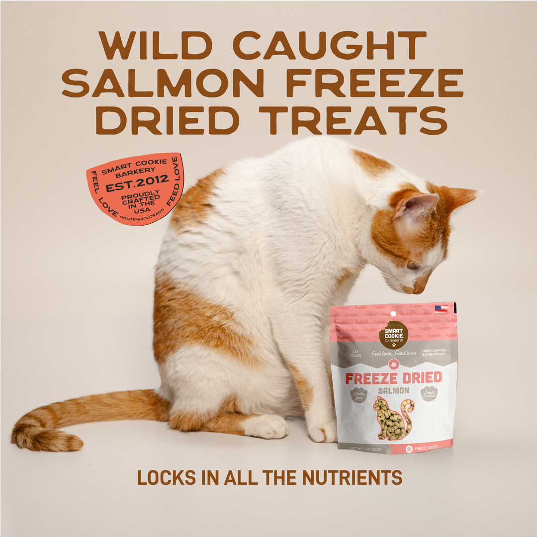 Smart Cookie Barkery Freeze Dried Salmon Bites Cat Treats, 1oz