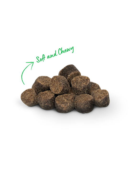 Open Farm Be Good Bites Plant Recipe w/Pumpkin Soft & Chewy Dog Treats, 6oz