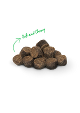 Open Farm Be Good Bites Turkey Recipe Soft & Chewy Dog Treats, 6oz