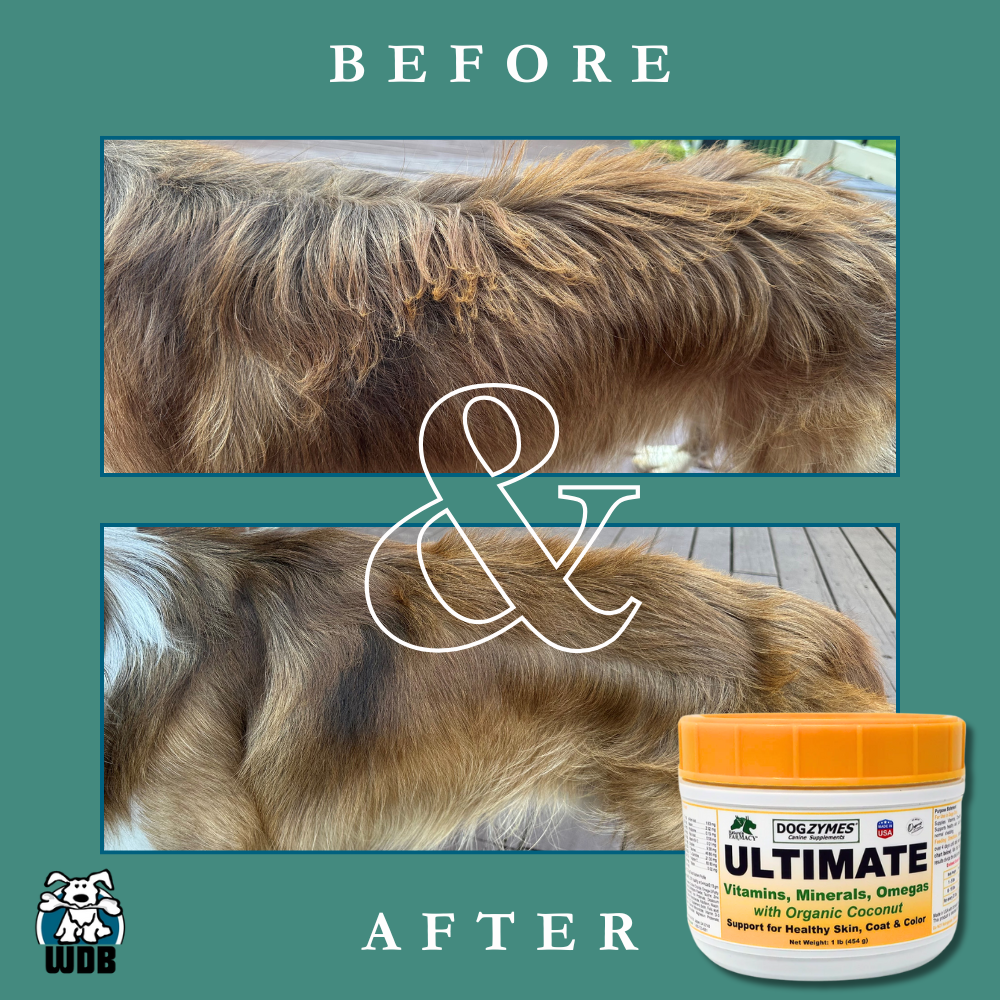 Nature's Farmacy Dogzymes Ultimate Vitamin Supplement For Dogs