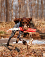 N GAGE Classic Bumper Regular Interactive Rubber Dog Toy, Red