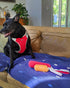 N GAGE Cozy Bumper Regular Interactive Plush Dog Toy, Orange