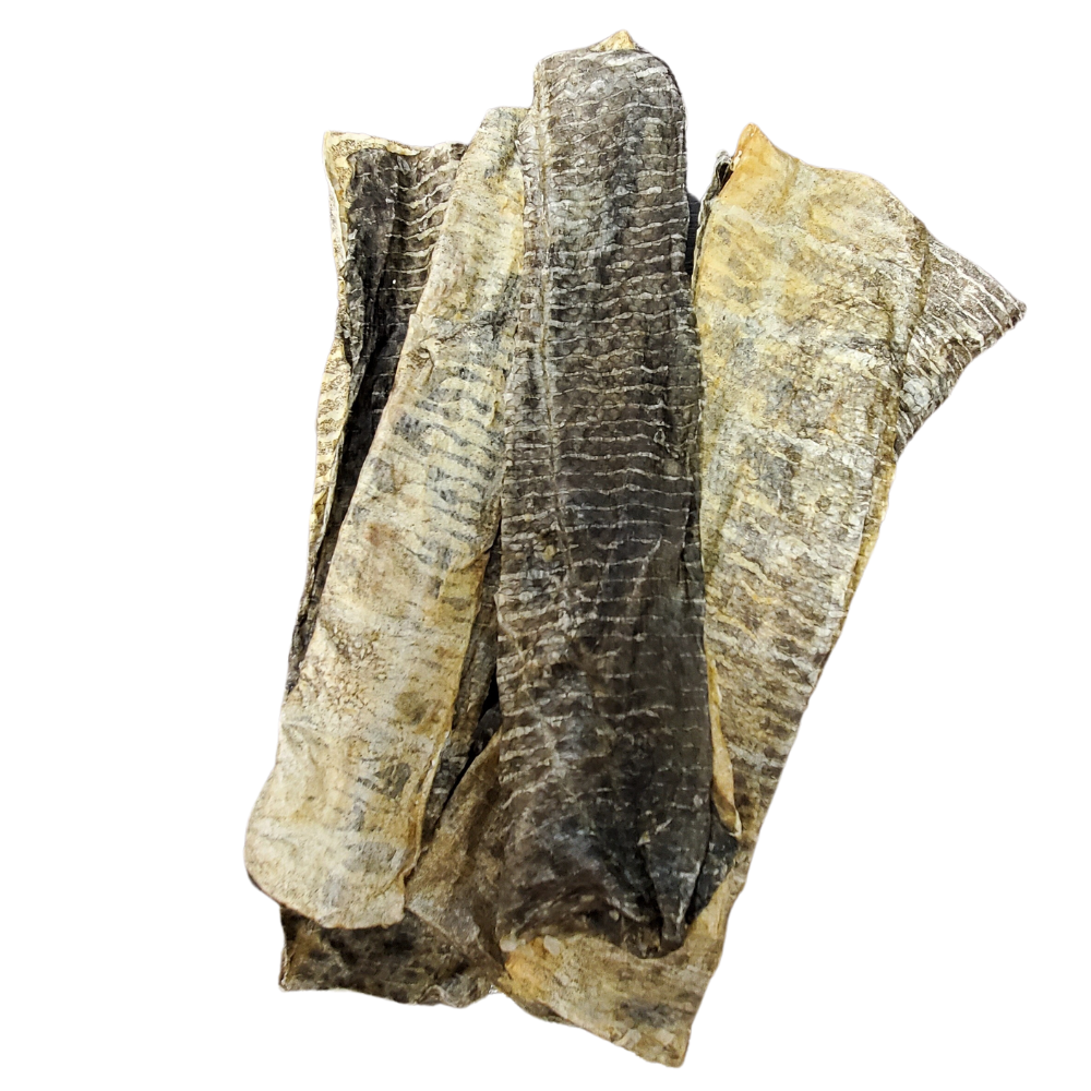 NDependant Pet Skins North Atlantic Skin Strips Dog Treats, Large 4oz