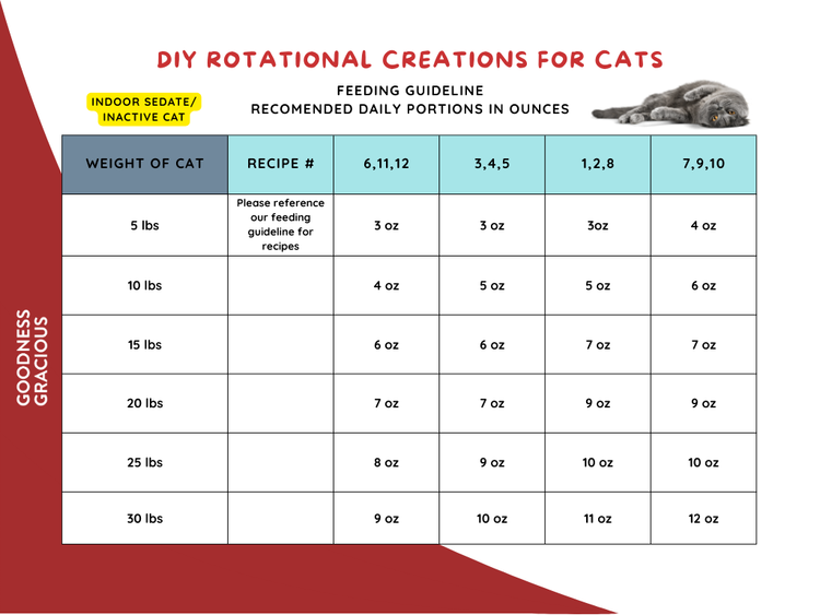Goodness Gracious Human Grade Synthetic Free DIY Rotational Creation Gently Cooked Frozen Cat Food, 16ct/10lb Case