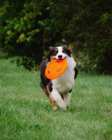 N GAGE Classic Flyer Interactive Rubber Dog Toy, Orange