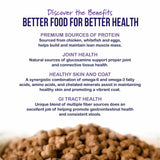 Dr Gary's Best Breed Grain Free Chicken & Whitefish Recipe Dry Cat Food