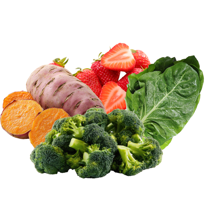 Goodness Gracious Human Grade Synthetic Free Rabbit Recipe Gently Cook ...