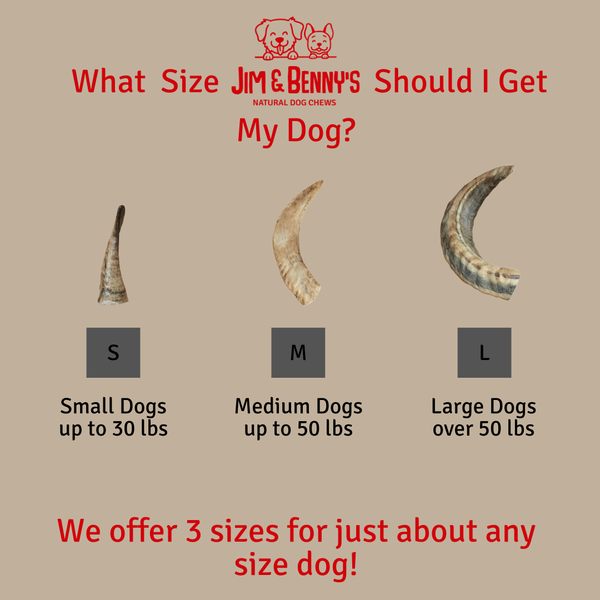 Jim & Benny's Sheep Horn Chew For Dogs