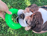 RuffDawg USA Dawg-Ring Rubber Retrieving Dog Toy