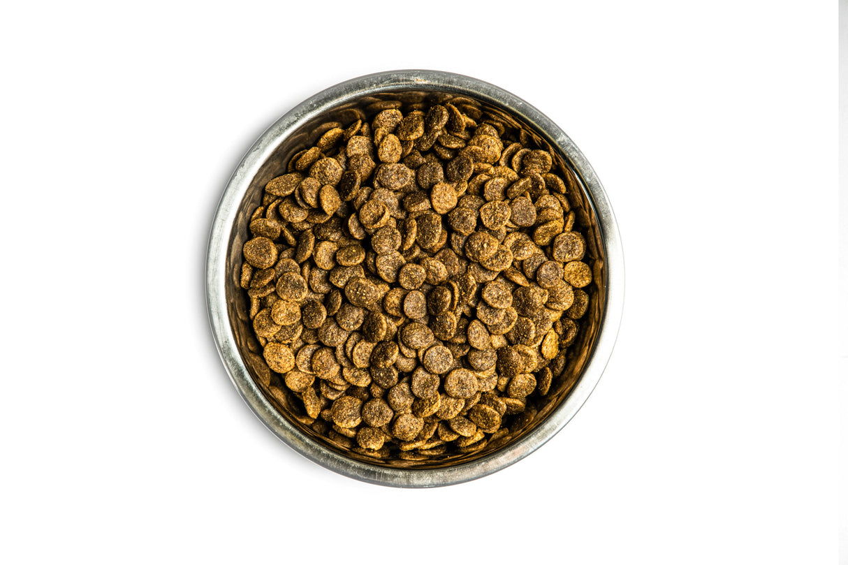 Verus Life Canine Grain Free Virtue Chicken, Lentils & Yams Formula Dry Dog Food