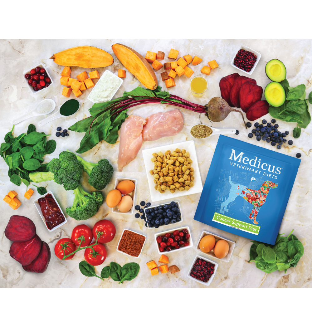A closer look at Cancer Supportive Dog Food Without Wheat