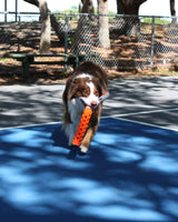 N GAGE Active Bumper Reg Interactive Rubber Dog Toy, Red