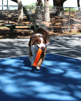 N GAGE Active Bumper Reg Interactive Rubber Dog Toy, Orange