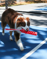 N GAGE Active Bumper Junior Interactive Rubber Dog Toy, Red