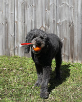 N GAGE Classic Handler Jumbo Interactive Rubber Dog Toy, Orange