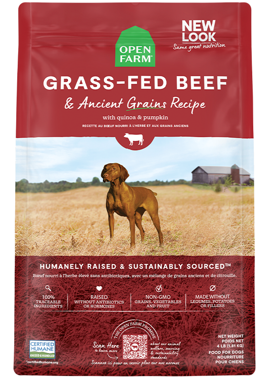 Open Farm Grass-Fed Beef and Ancient Grains Dry Dog Food