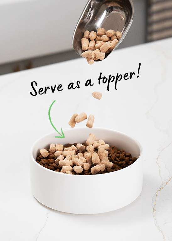 Open Farm Good Bowl Harvest Chicken Recipe Freeze Dried Raw Dog Open Farm Good Bowl Harvest Chicken Recipe Freeze Dried Raw Dog