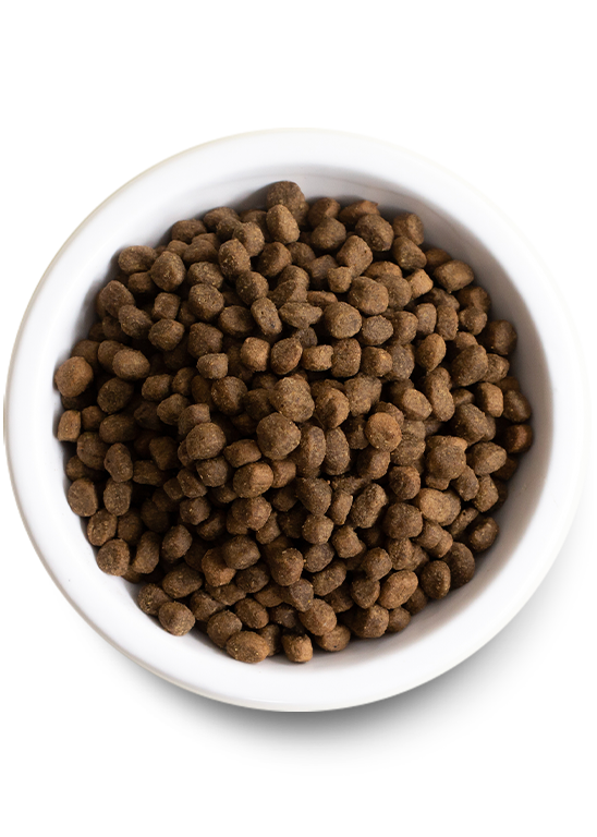 Open Farm Homestead Turkey & Chicken Grain Free Dry Dog Food