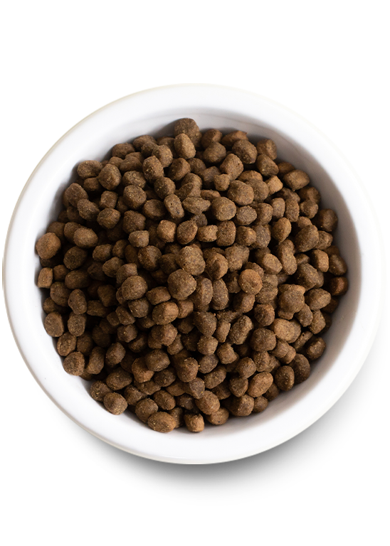 Open Farm Grass-Fed Beef and Ancient Grains Dry Dog Food